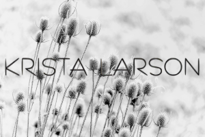 Krista larson designs la collection printemps été 2025 chez abby maud