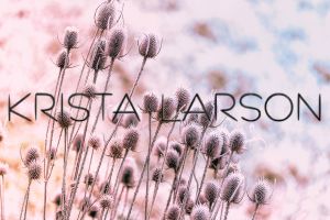 Krista larson designs la collection printemps été 2025 chez abby maud 4