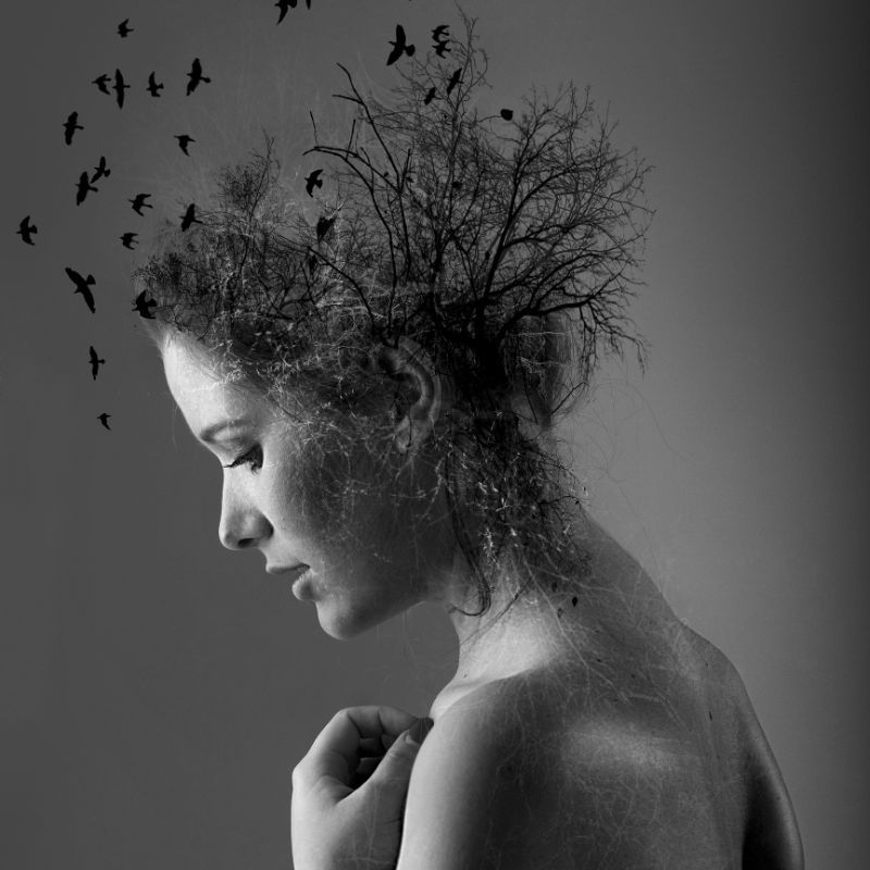 abby maud page accueil hiver 2025 2