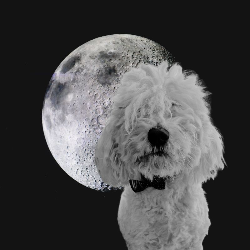 abby maud page accueil hiver 25 33