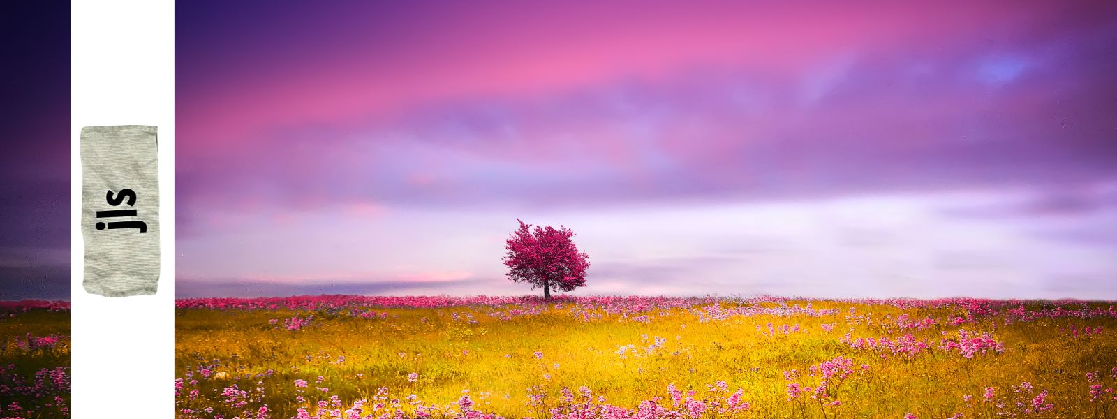 bandeau jls ete 26 abby maud